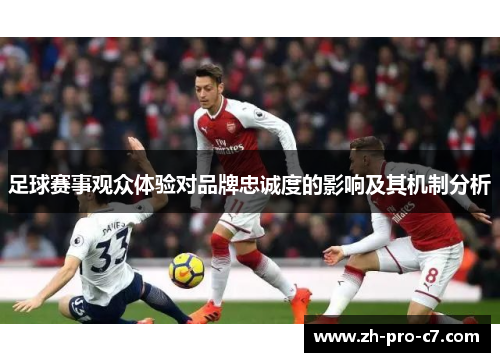 足球赛事观众体验对品牌忠诚度的影响及其机制分析