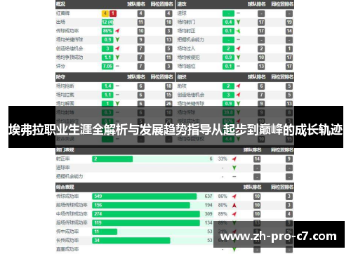 埃弗拉职业生涯全解析与发展趋势指导从起步到巅峰的成长轨迹