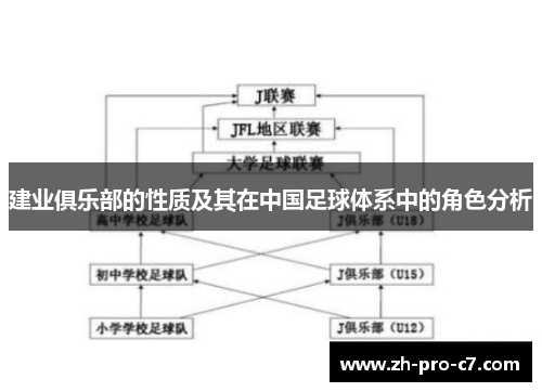 建业俱乐部的性质及其在中国足球体系中的角色分析
