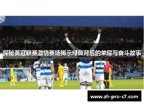 探秘英冠联赛激情赛场揭示绿茵背后的荣耀与奋斗故事