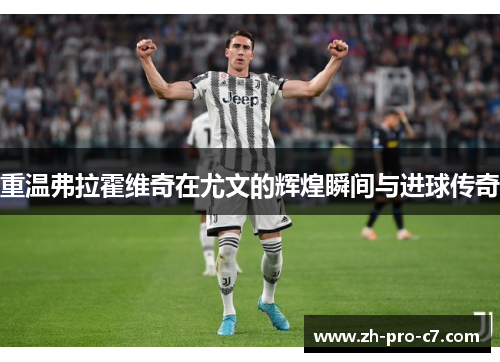 重温弗拉霍维奇在尤文的辉煌瞬间与进球传奇