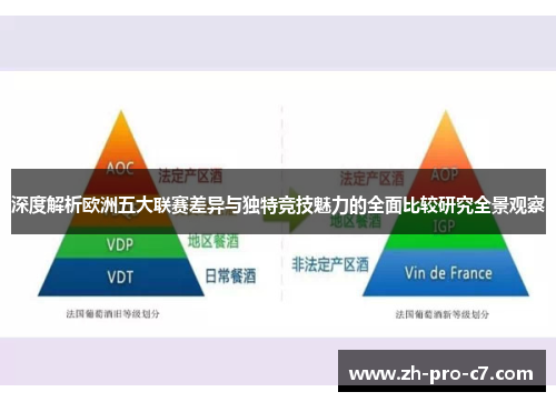 深度解析欧洲五大联赛差异与独特竞技魅力的全面比较研究全景观察 深度解析欧洲五大联赛差异与独特竞技魅力的全面比较研究全景观察