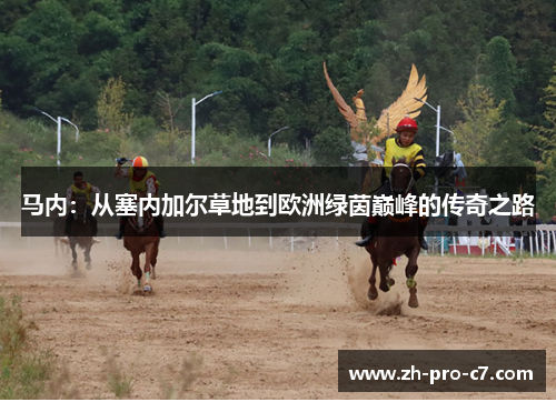 马内:从塞内加尔草地到欧洲绿茵巅峰的传奇之路 马内:从塞内加尔草地到欧洲绿茵巅峰的传奇之路