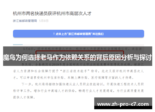 魔鸟为何选择老马作为依赖关系的背后原因分析与探讨