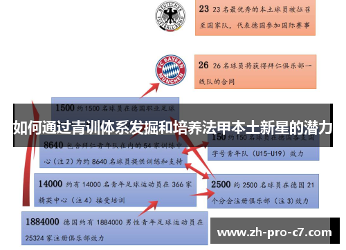 如何通过青训体系发掘和培养法甲本土新星的潜力