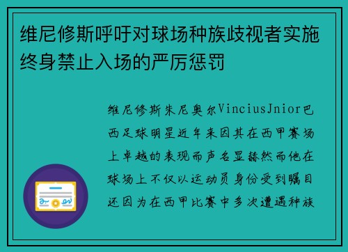 维尼修斯呼吁对球场种族歧视者实施终身禁止入场的严厉惩罚